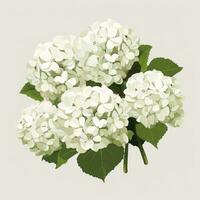 Minimalistic Animation of Hydrangea Flowers AI Generated photo