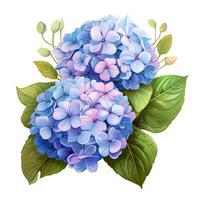 Beautiful Hydrangeas Plants with Leaves and Flowers AI Generated photo