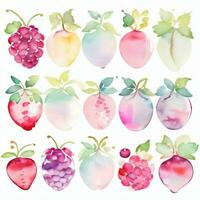 Watercolor Berries Clipart photo