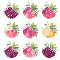 Watercolor Berries Clipart photo