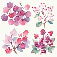 Watercolor Berries Clipart photo