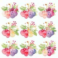 Watercolor Berries Clipart photo