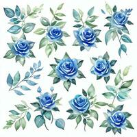 Watercolor Blue Roses Clipart photo