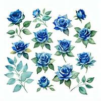 acuarela azul rosas clipart foto