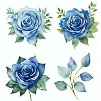 acuarela azul rosas clipart foto