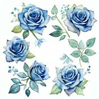 acuarela azul rosas clipart foto