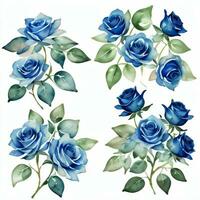 acuarela azul rosas clipart foto