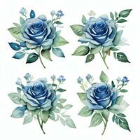 Watercolor Blue Roses Clipart photo