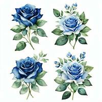 acuarela azul rosas clipart foto