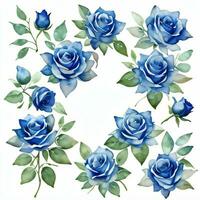 acuarela azul rosas clipart foto