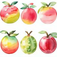 acuarela frutas clipart foto