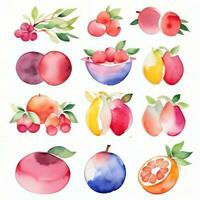 acuarela frutas clipart foto