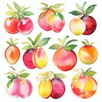 acuarela frutas clipart foto