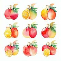 Watercolor Fruits Clipart photo