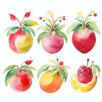 acuarela frutas clipart foto