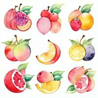 Watercolor Fruits Clipart photo