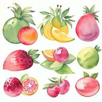 acuarela frutas clipart foto