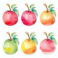 Watercolor Fruits Clipart photo