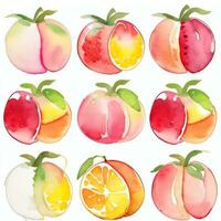 acuarela frutas clipart foto