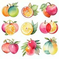 acuarela frutas clipart foto