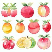 Watercolor Fruits Clipart photo