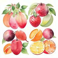 acuarela frutas clipart foto