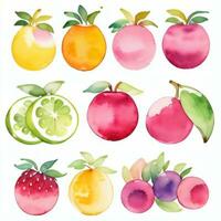 acuarela frutas clipart foto