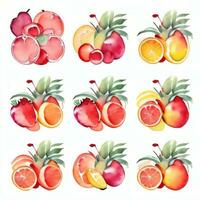 Watercolor Fruits Clipart photo