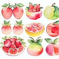 Watercolor Fruits Clipart photo