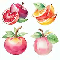 Watercolor Fruits Clipart photo