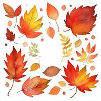 acuarela otoño hojas clipart foto