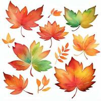 acuarela otoño hojas clipart foto