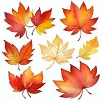 Watercolor Fall Leaves Clipart photo