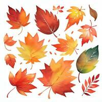 acuarela otoño hojas clipart foto