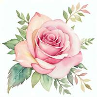 Pink Watercolor Roses Clipart photo