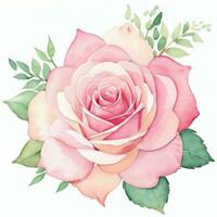 Pink Watercolor Roses Clipart photo