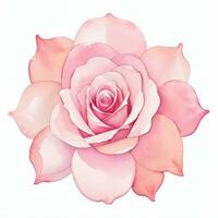 Pink Watercolor Roses Clipart photo