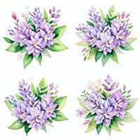 Watercolor Lilac Flowers Clipart photo