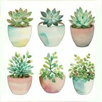 Watercolor Succulents Clipart photo