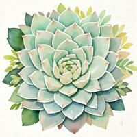 Watercolor Succulents Clipart photo