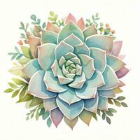 Watercolor Succulents Clipart photo