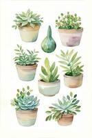 Watercolor Succulents Clipart photo