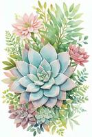 Watercolor Succulents Clipart photo