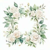 blanco acuarela rosas clipart foto