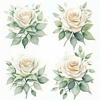 White Watercolor Roses Clipart photo