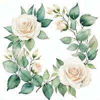 blanco acuarela rosas clipart foto