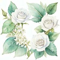 blanco acuarela rosas clipart foto