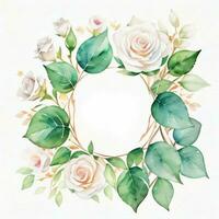 White Watercolor Roses Clipart photo