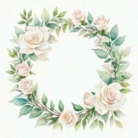 White Watercolor Roses Clipart photo