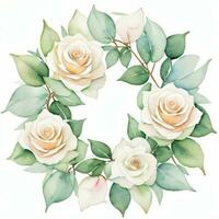 White Watercolor Roses Clipart photo